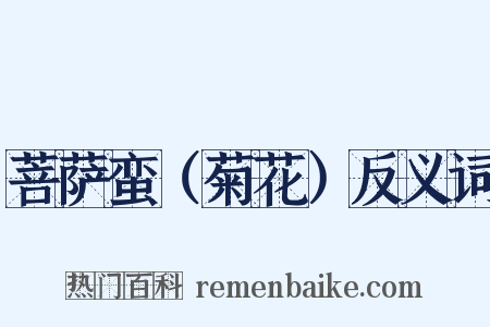 菩萨蛮（菊花）反义词是什么意思的图片